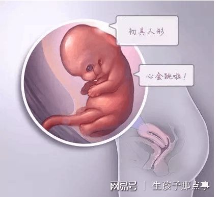 代生试管机构